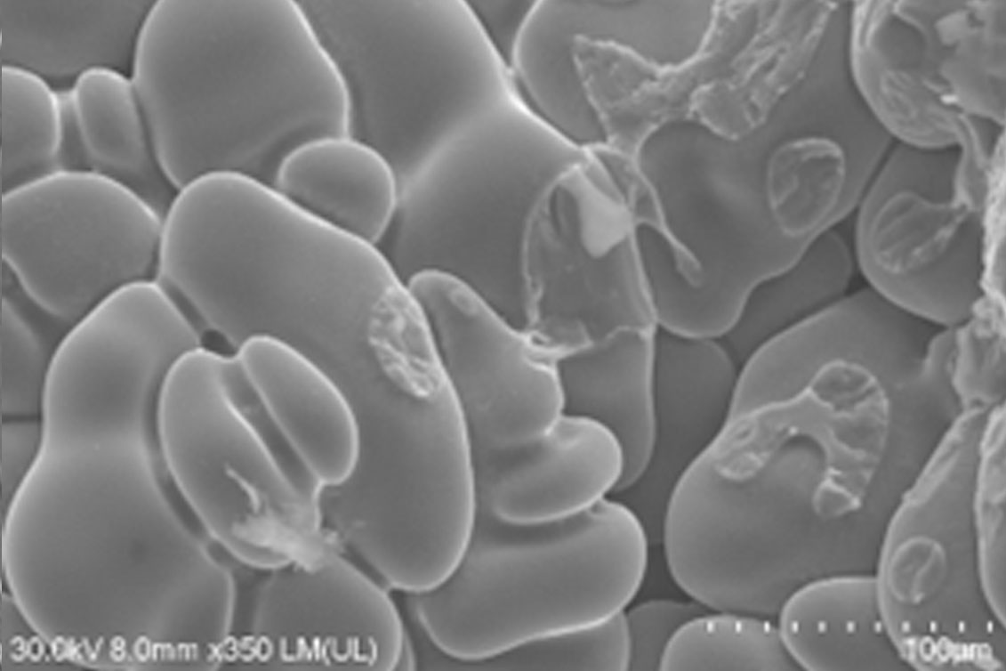 Experimental infrastructure for energy conversion systems with CO2 capture