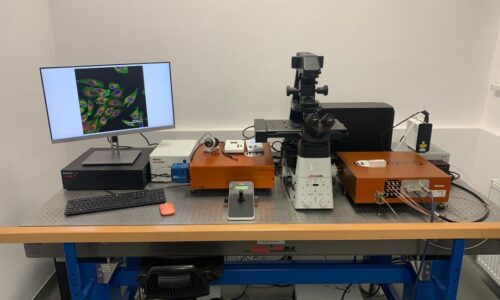 Re-Scanning Confocal Fluorescence Microscope system (RCM)