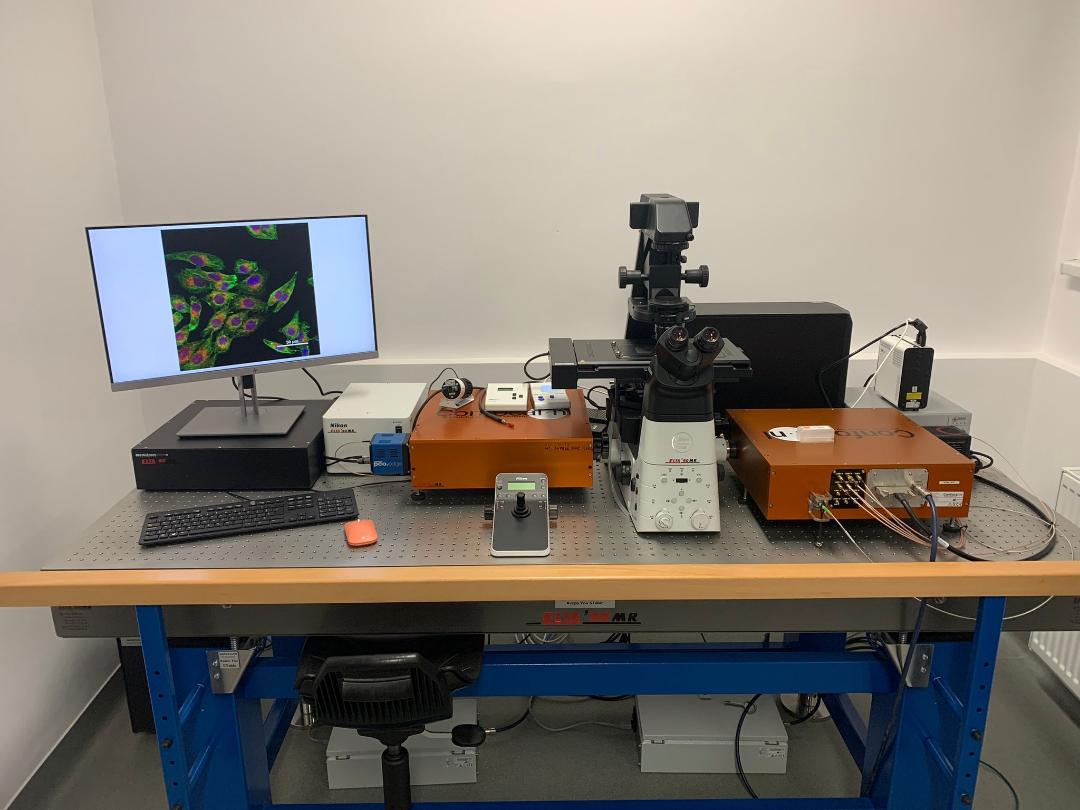 Re-Scanning Confocal Fluorescence Microscope system (RCM)